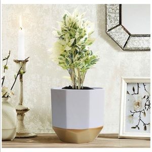 Modern planter pot Succulent pot Whit & Gold